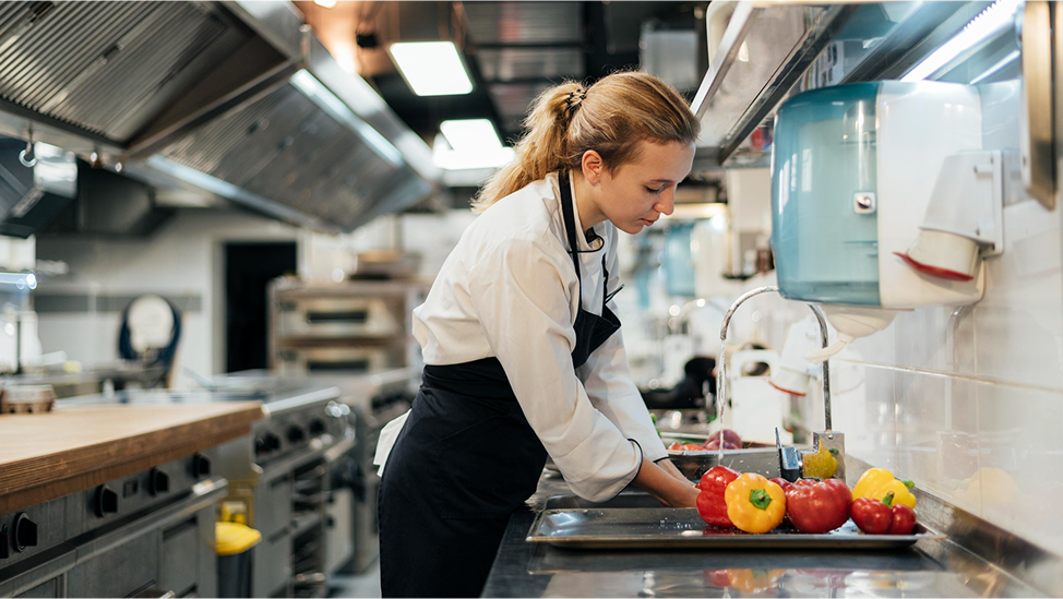 Dish Washers and Sinks